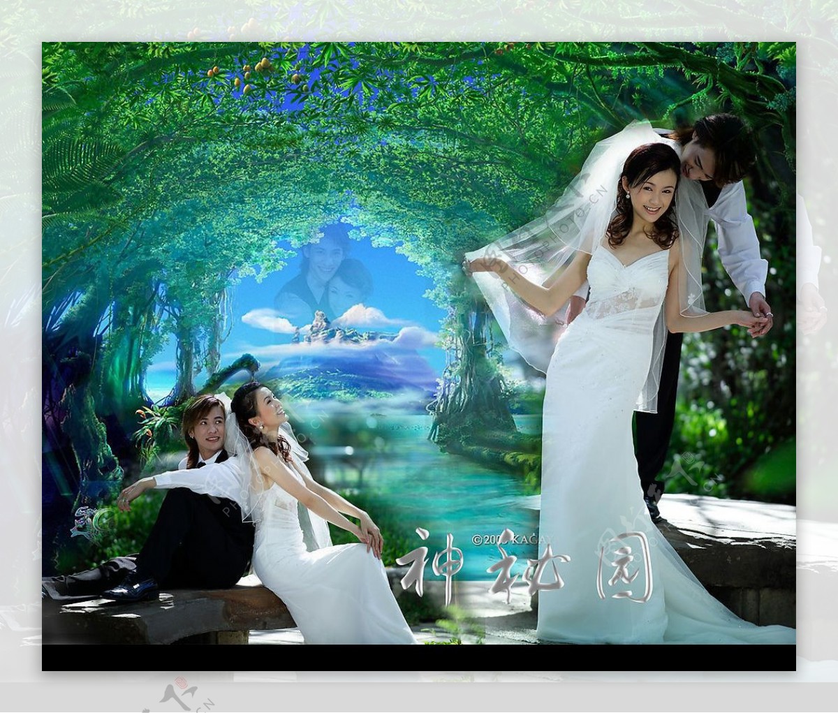 神秘园PSD婚纱背景图片