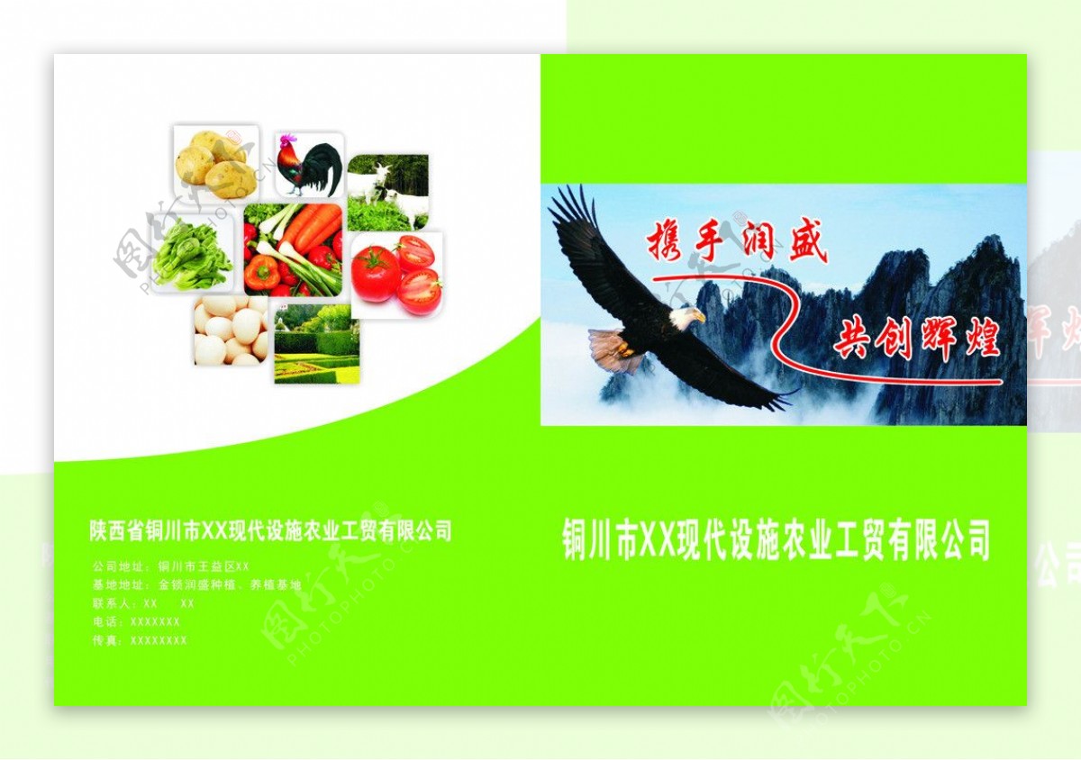 蔬菜画册封面图片