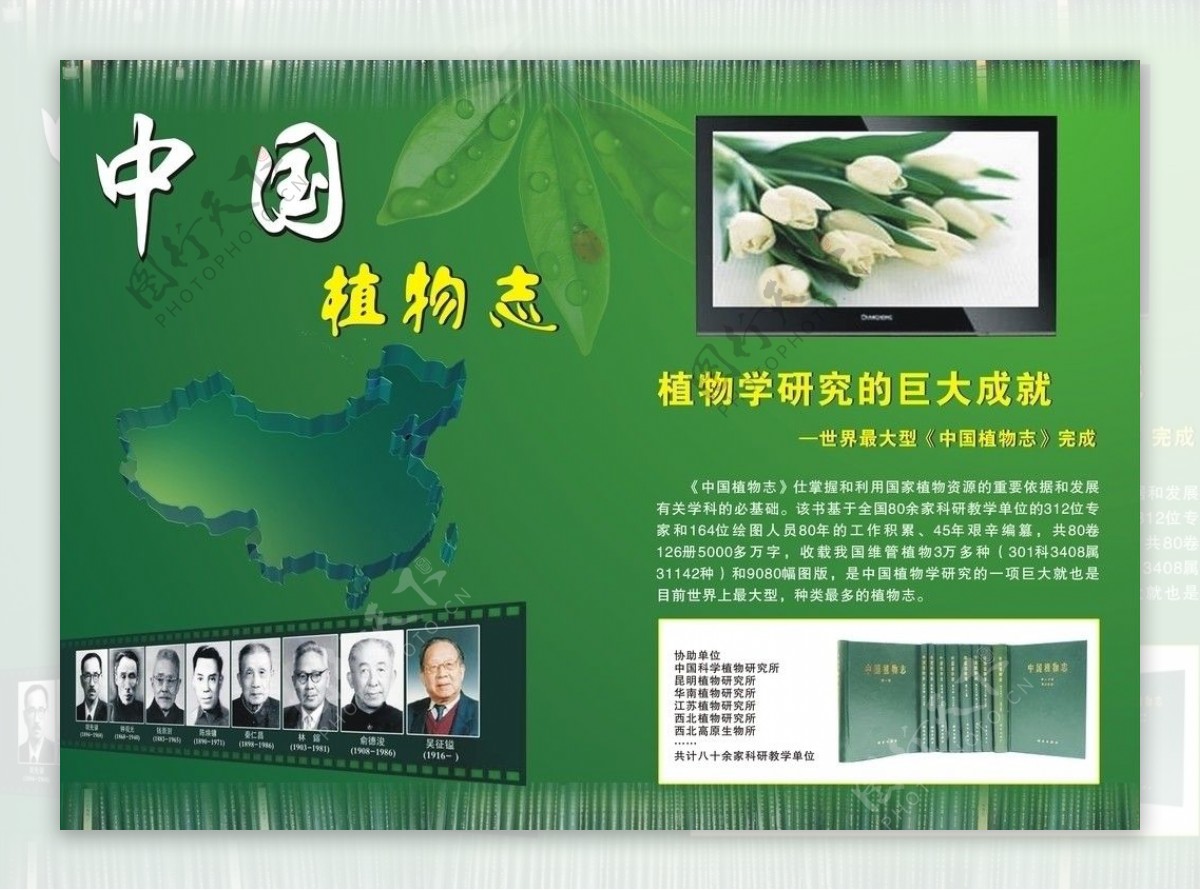 中国植物志图片