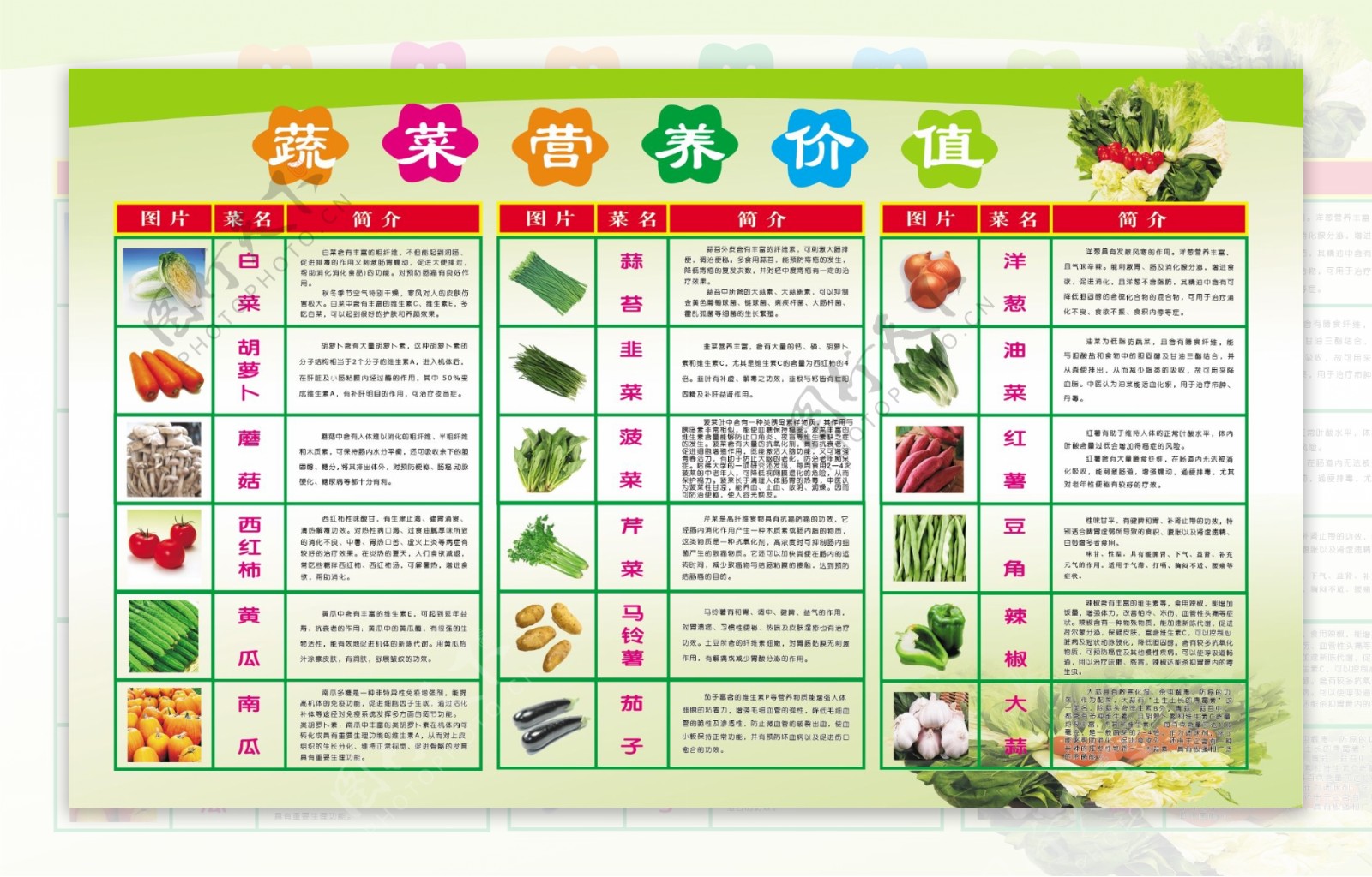 蔬菜知识海报图片