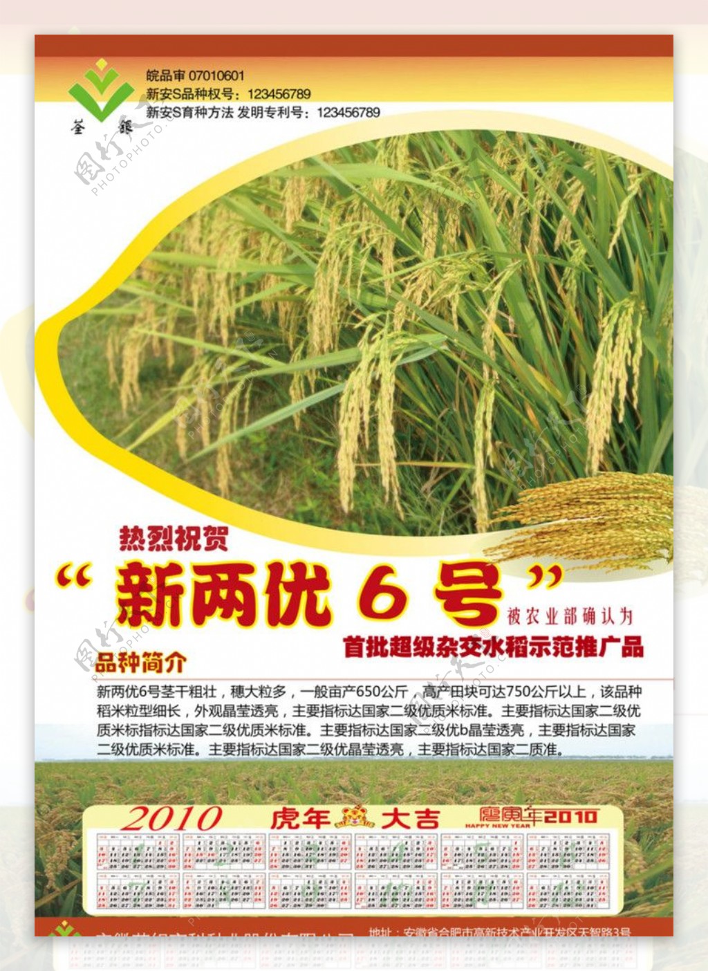 水稻海报图片