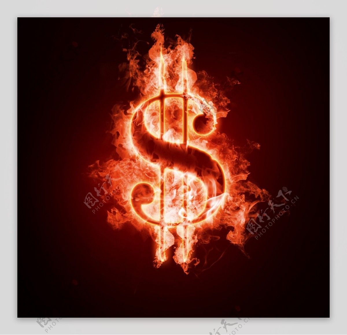 燃烧中的钱符号图片
