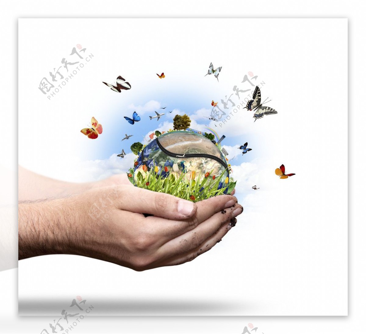爱护地球生态平衡蝴蝶图片