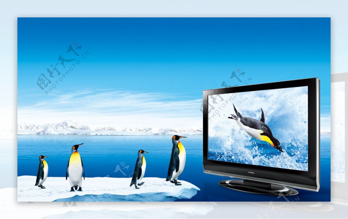 企鹅冰山企鹅液晶电视图片