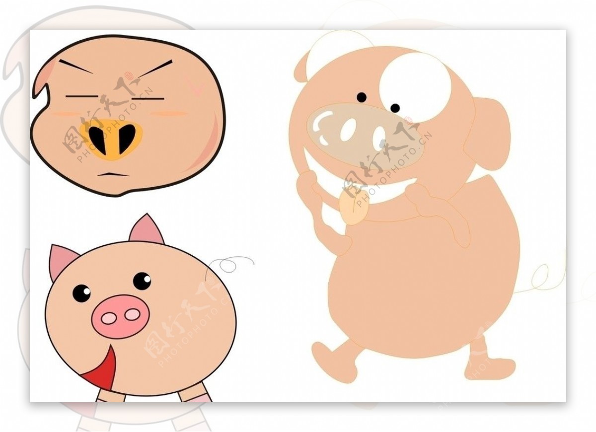 猪小猪卡通猪图片