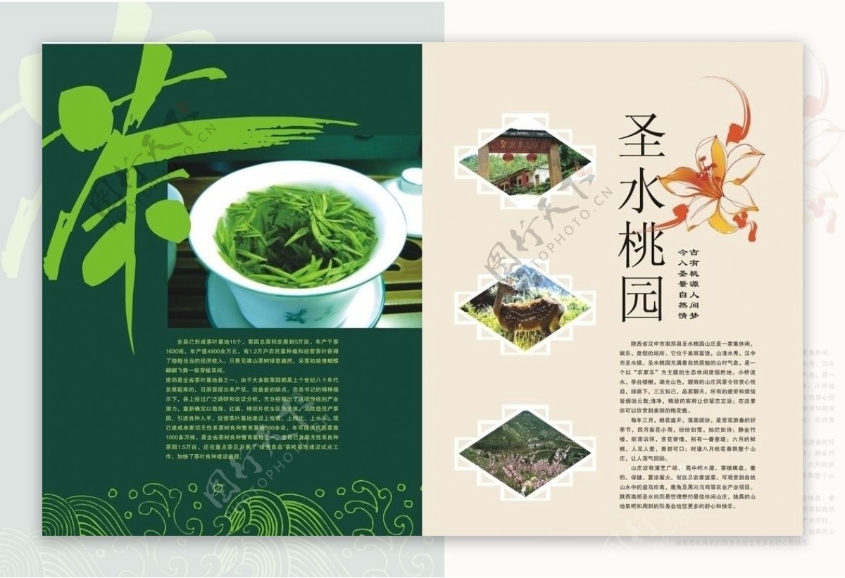 茶183圣水桃园图片