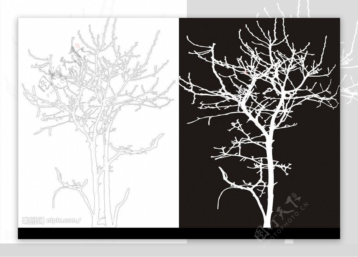 树手绘素描图片素材免费下载 - 觅知网
