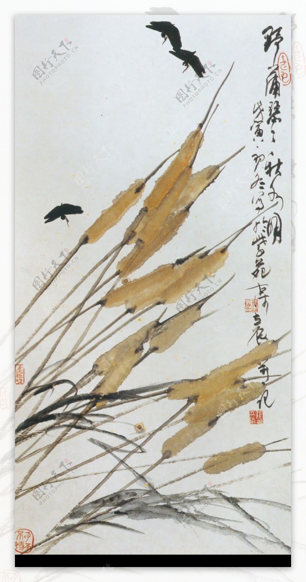 中国现代花鸟0170
