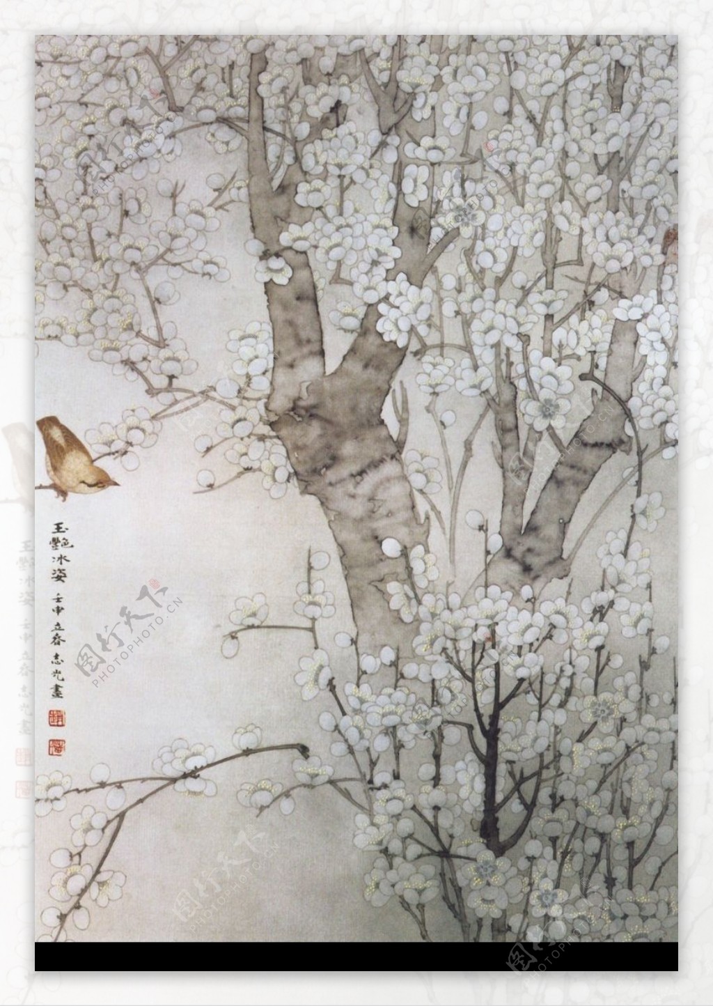 中国现代花鸟0185