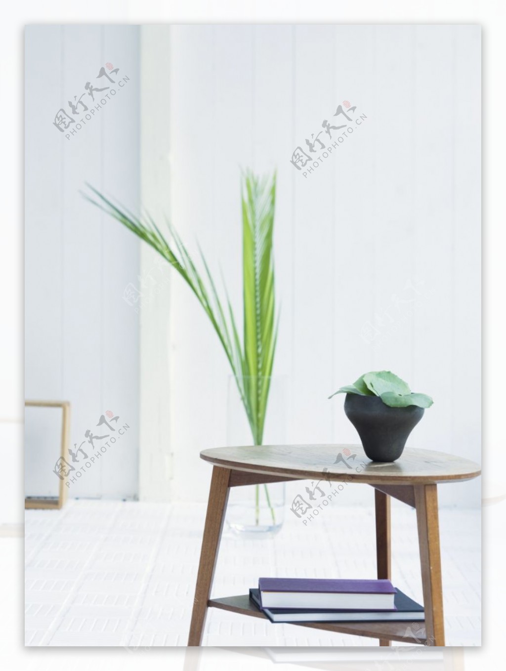 植物与空间0328