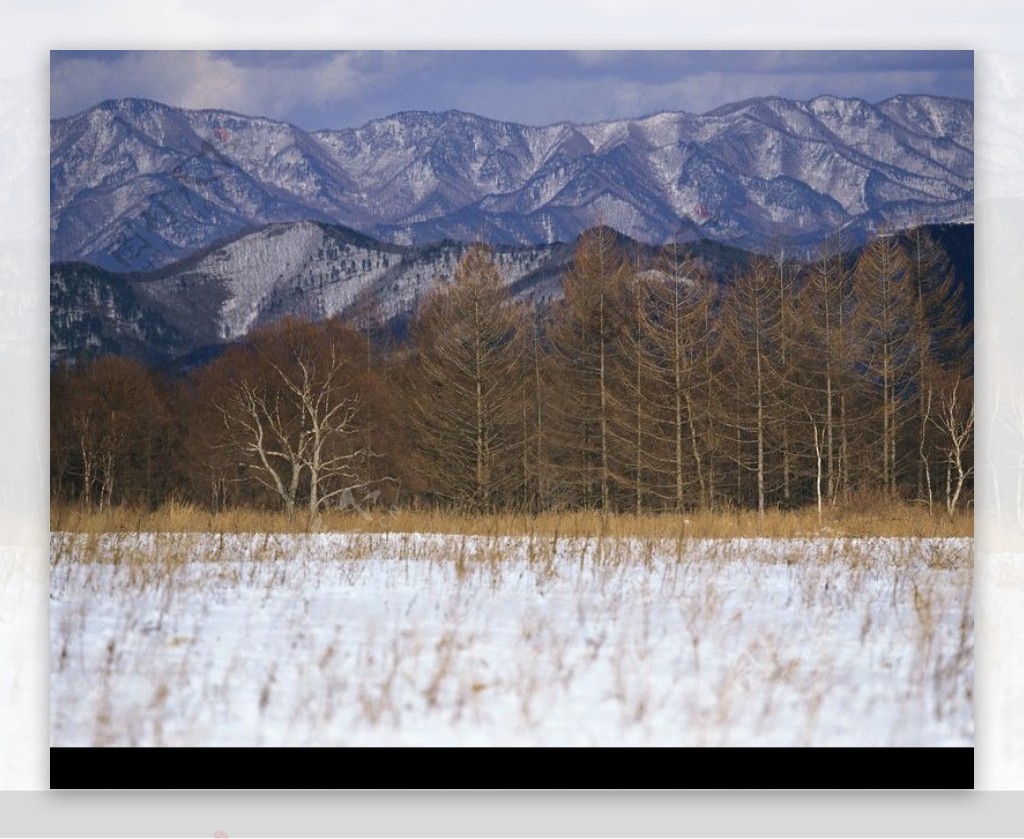 冬天雪景0003