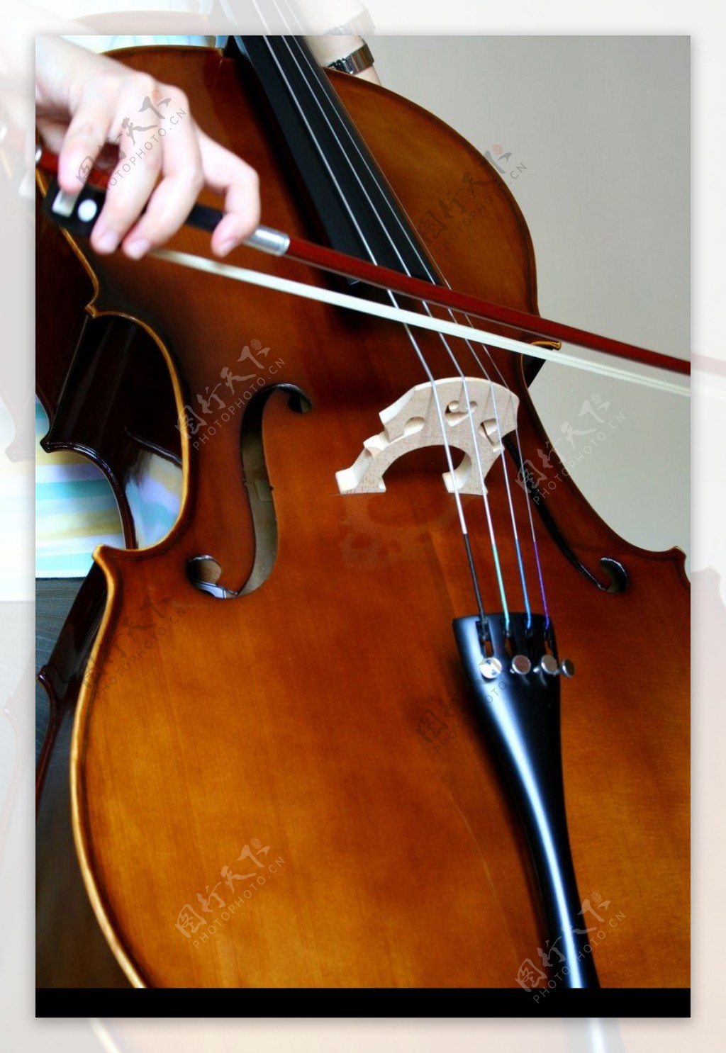 小提琴0011