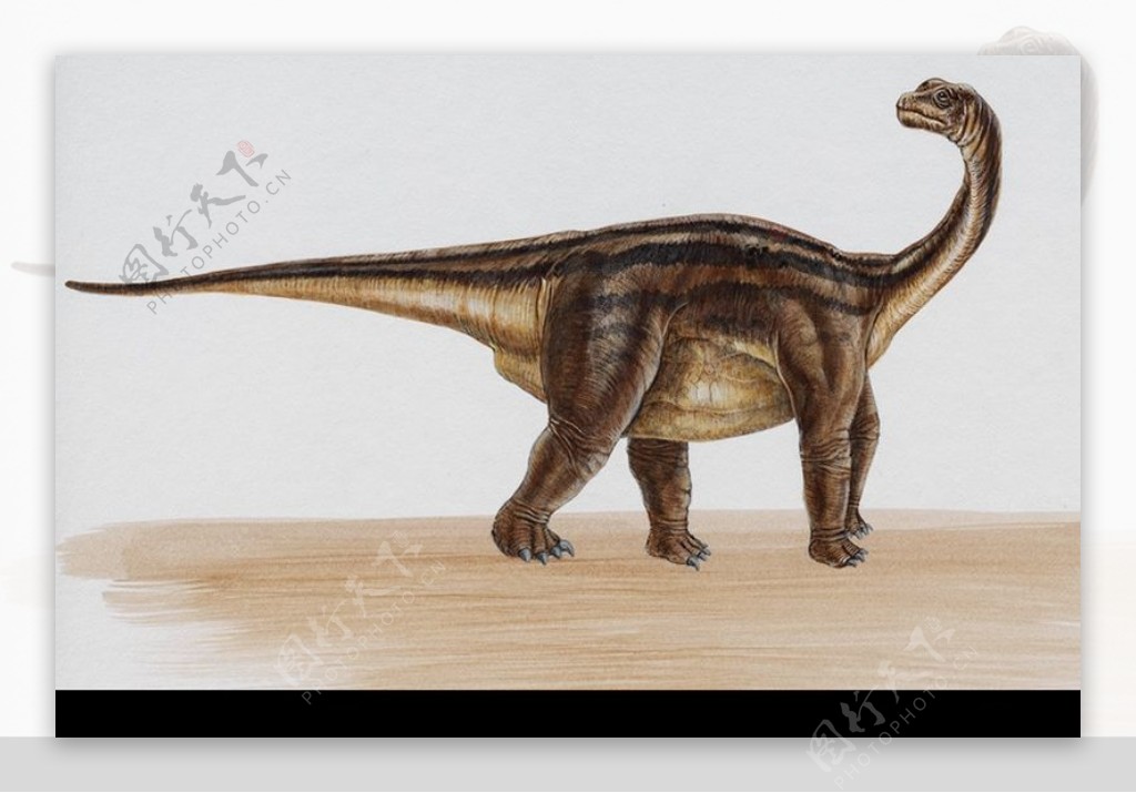 白垩纪恐龙0062