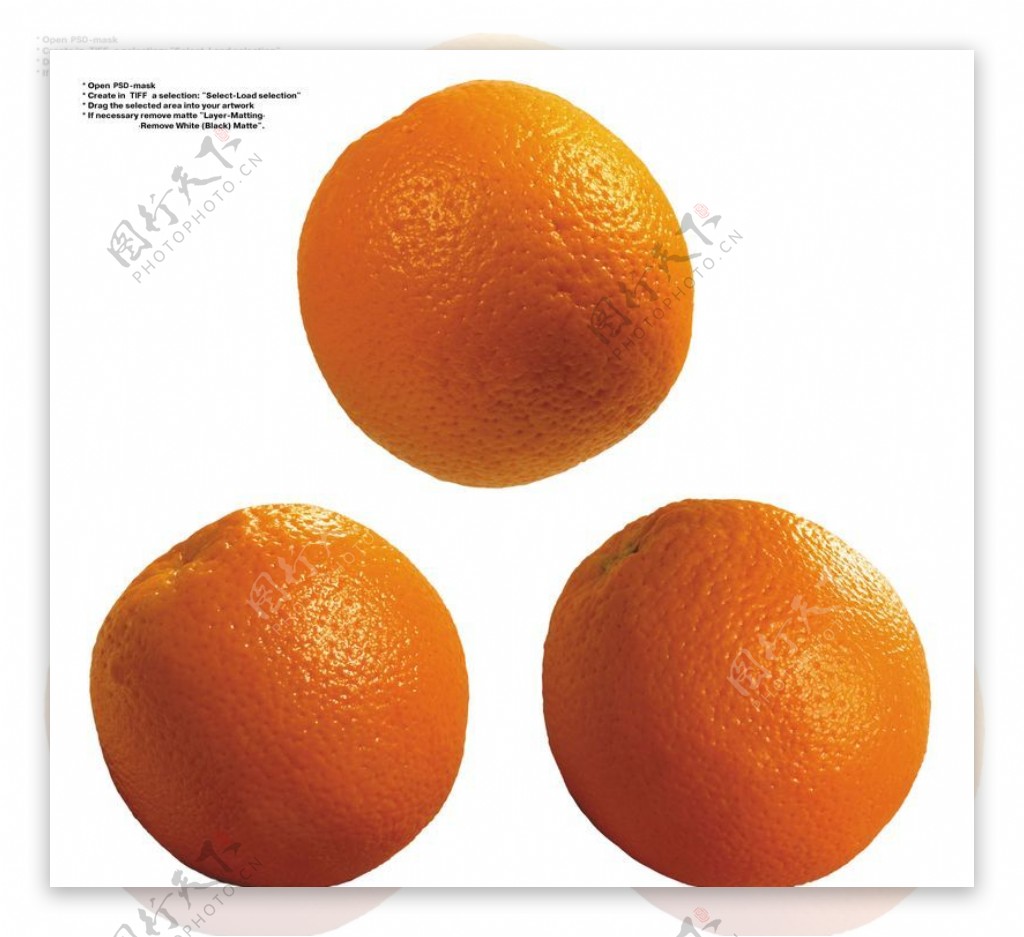 橙子特写0040
