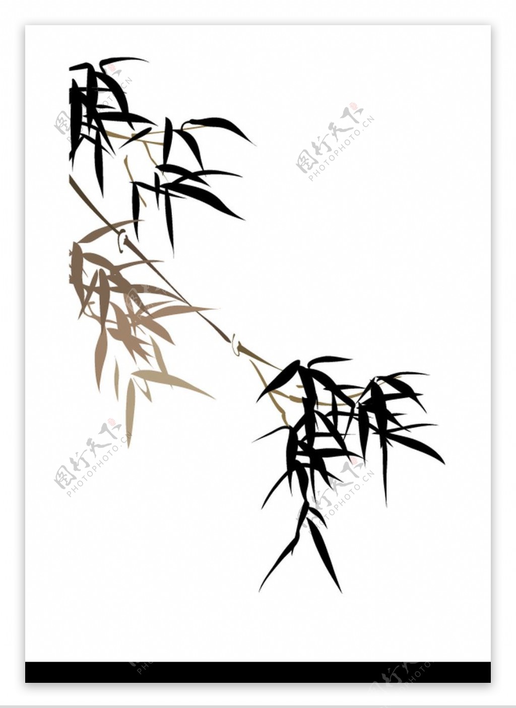 竹子荷花植物0008