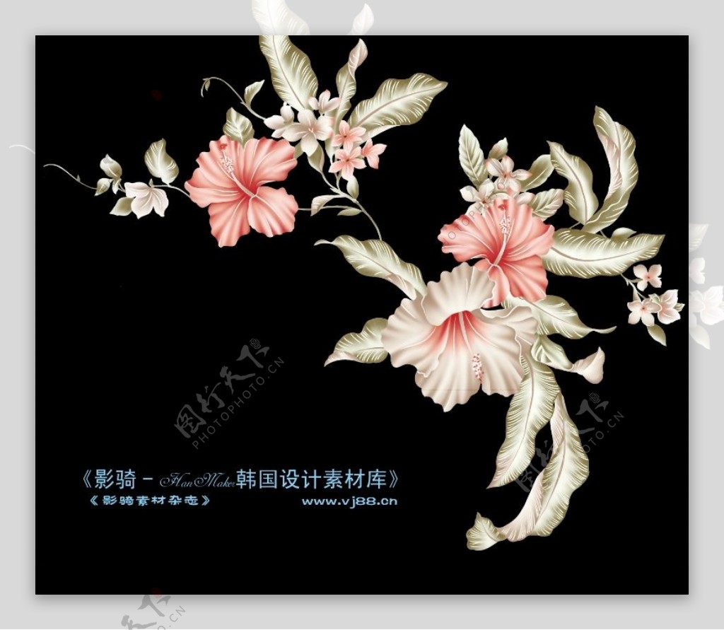 艳丽色花纹0024