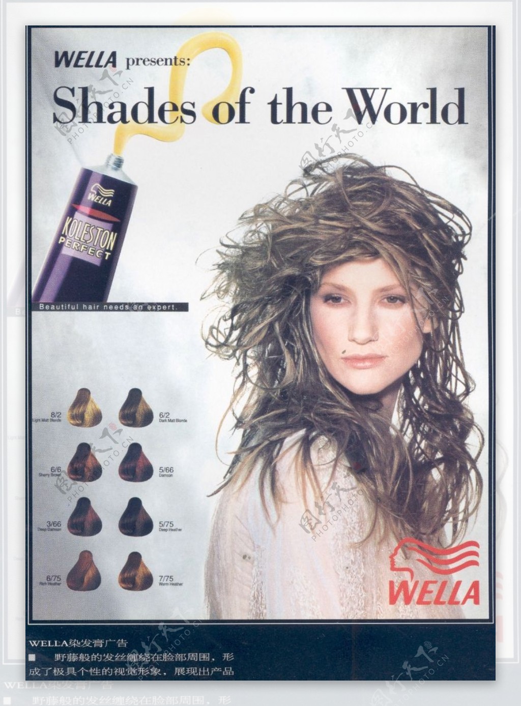 美容化妆品广告创意0078