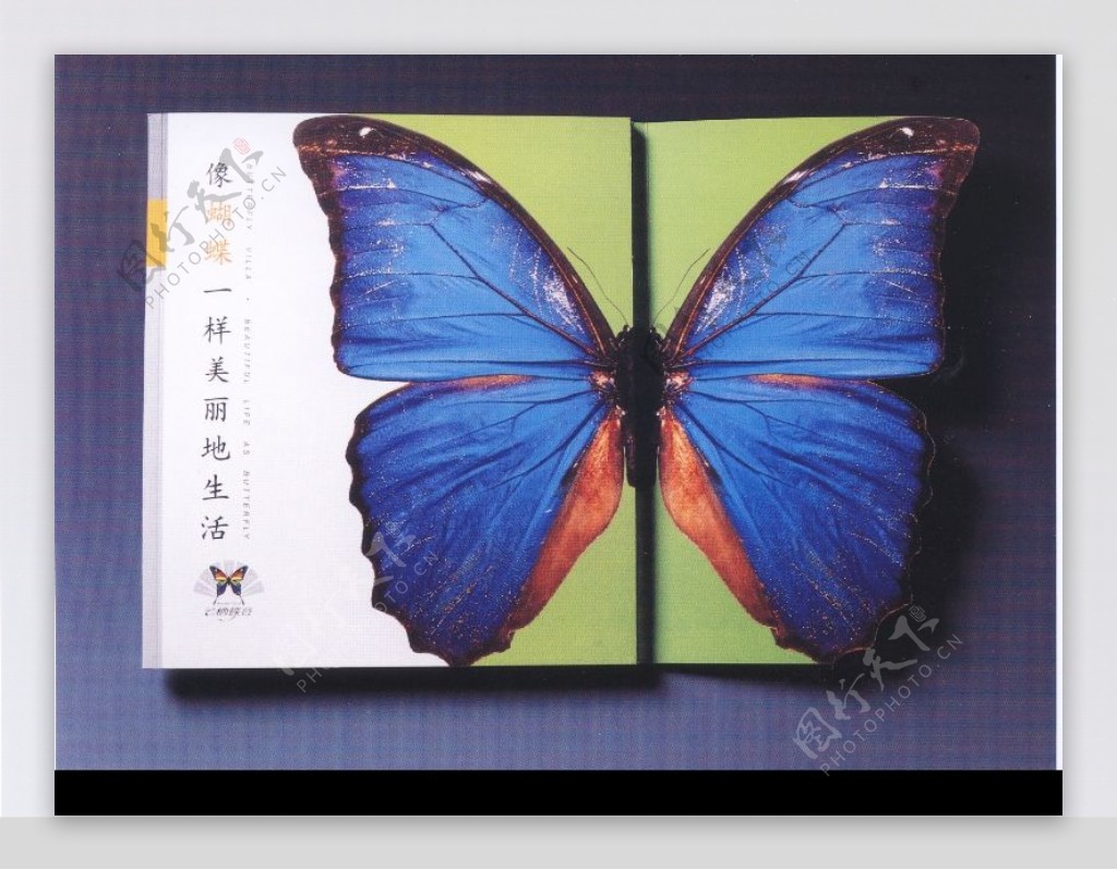 中国书籍装帧设计0193