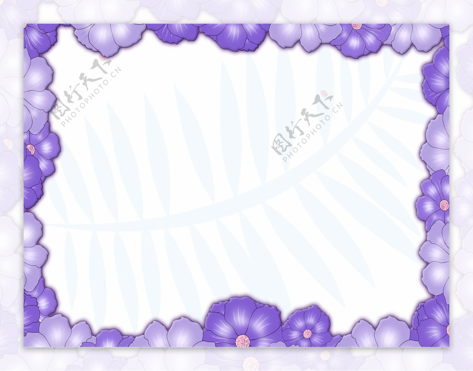 紫色花纹边框