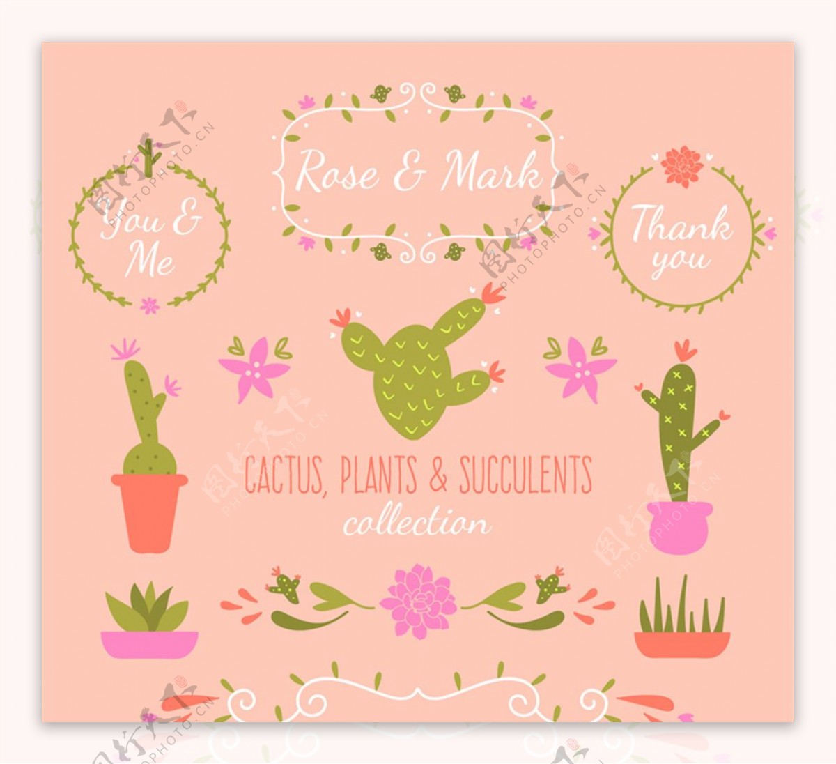 12款彩绘婚礼植物和花环矢量图