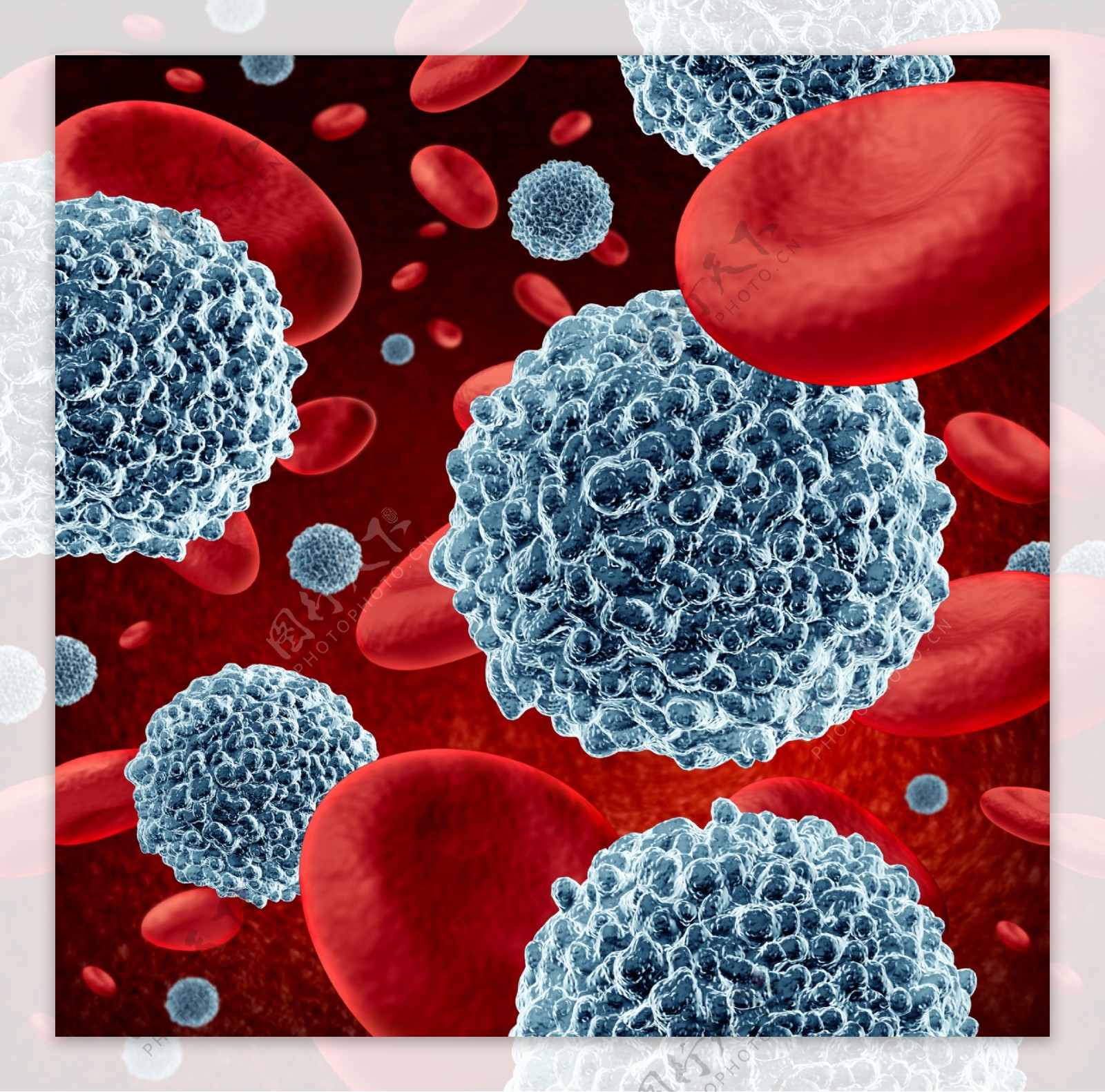 红细胞血管生物病毒高清背素材