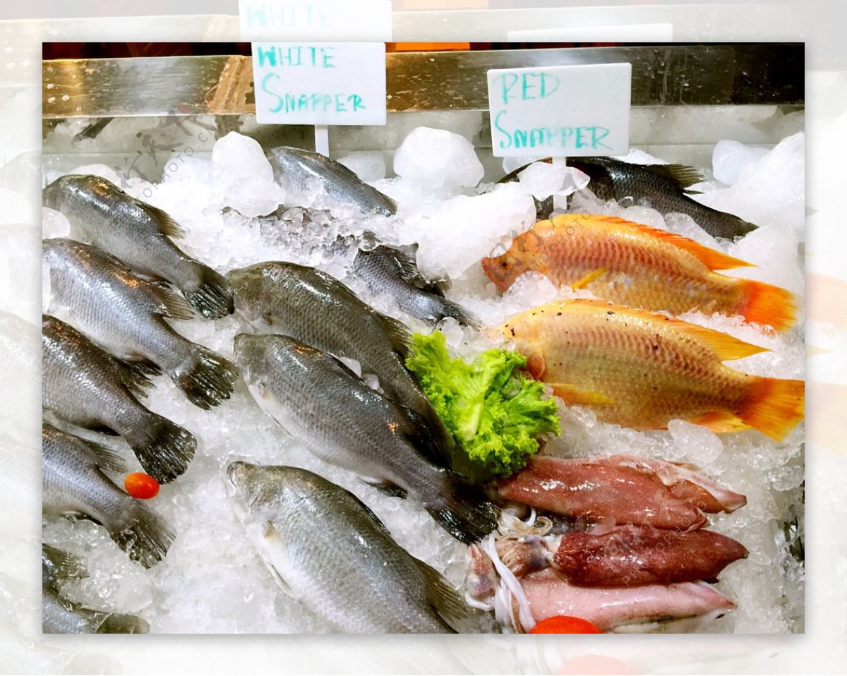 泰国苏梅岛海鲜市场