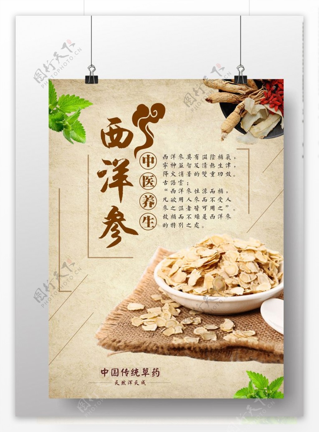 西洋参中国传统药材海报