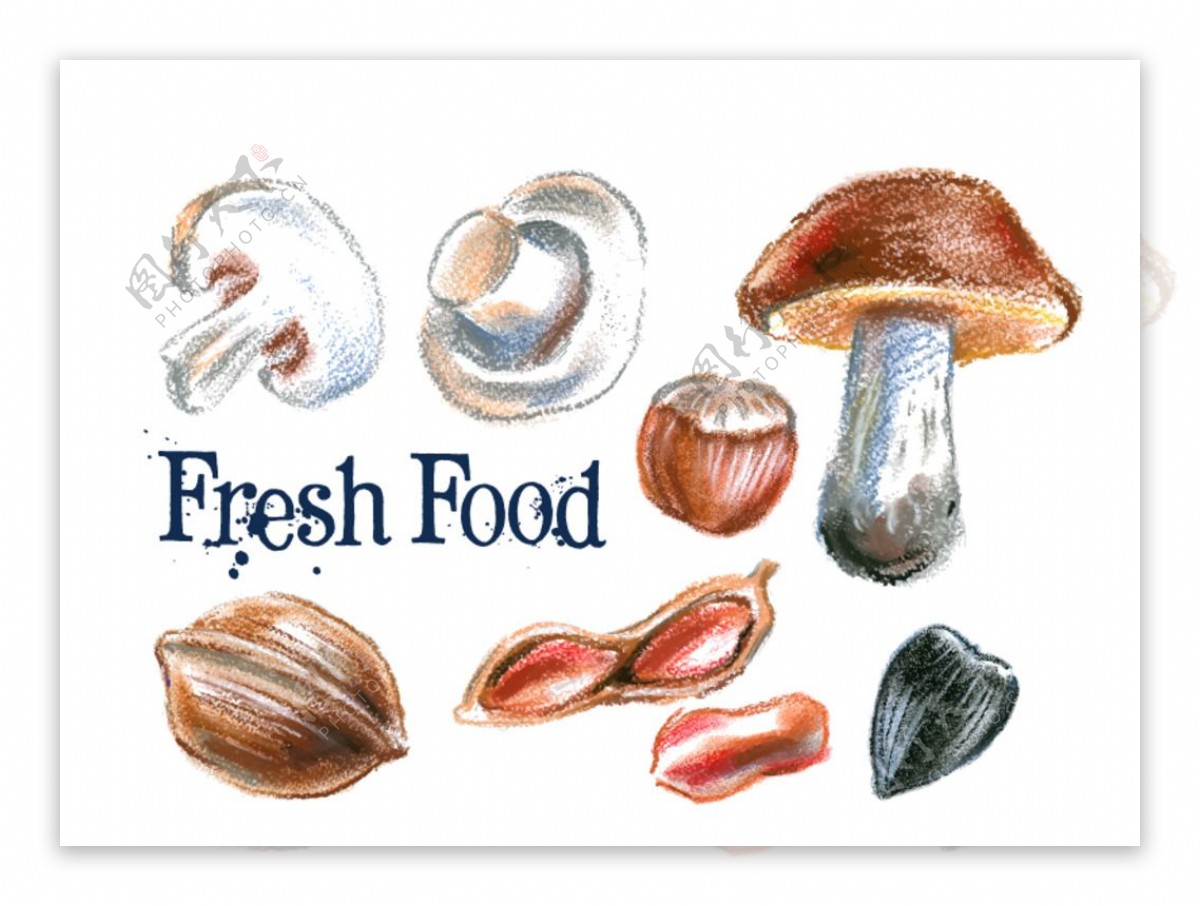 彩绘蘑菇和坚果