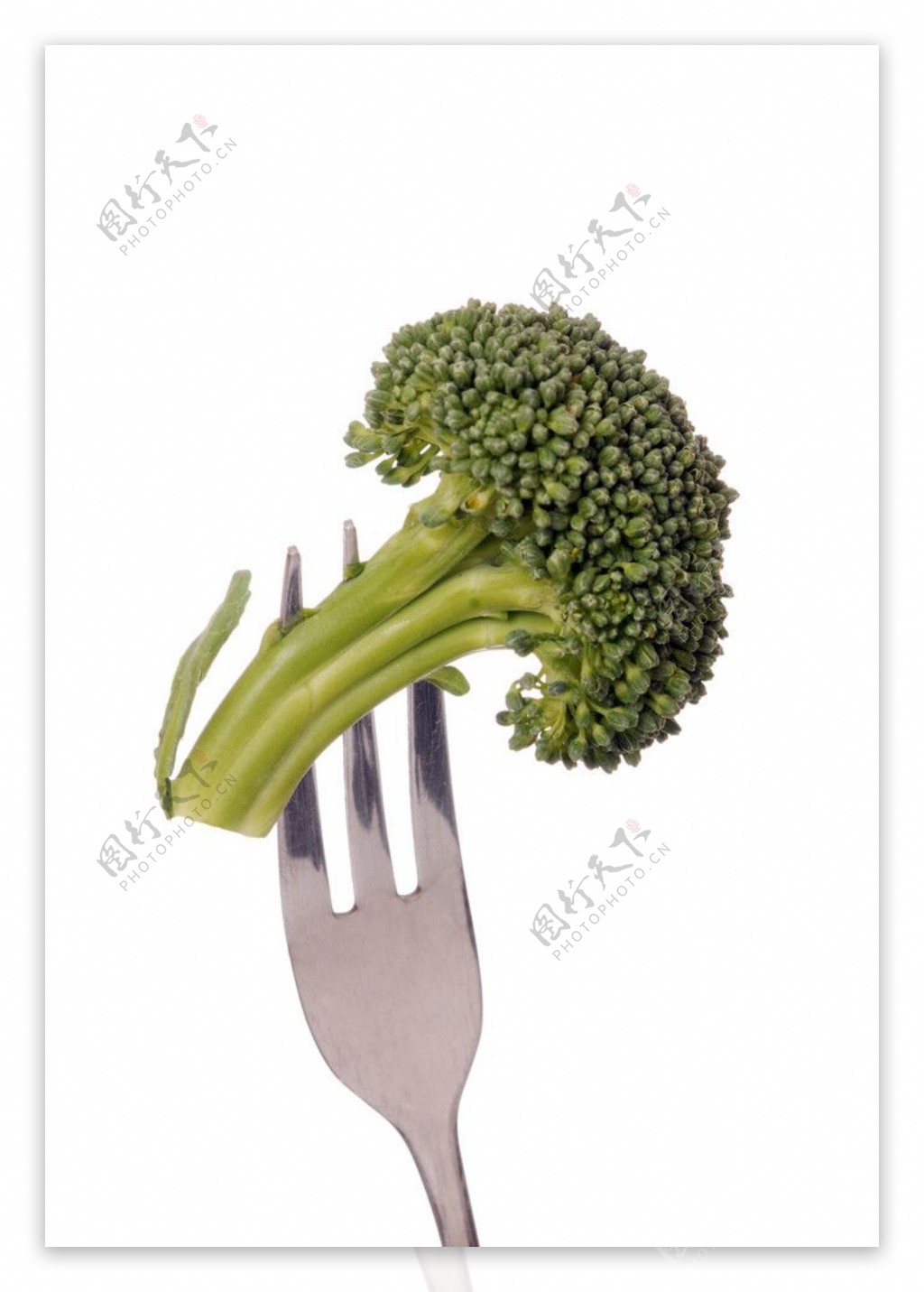 蔬菜高清