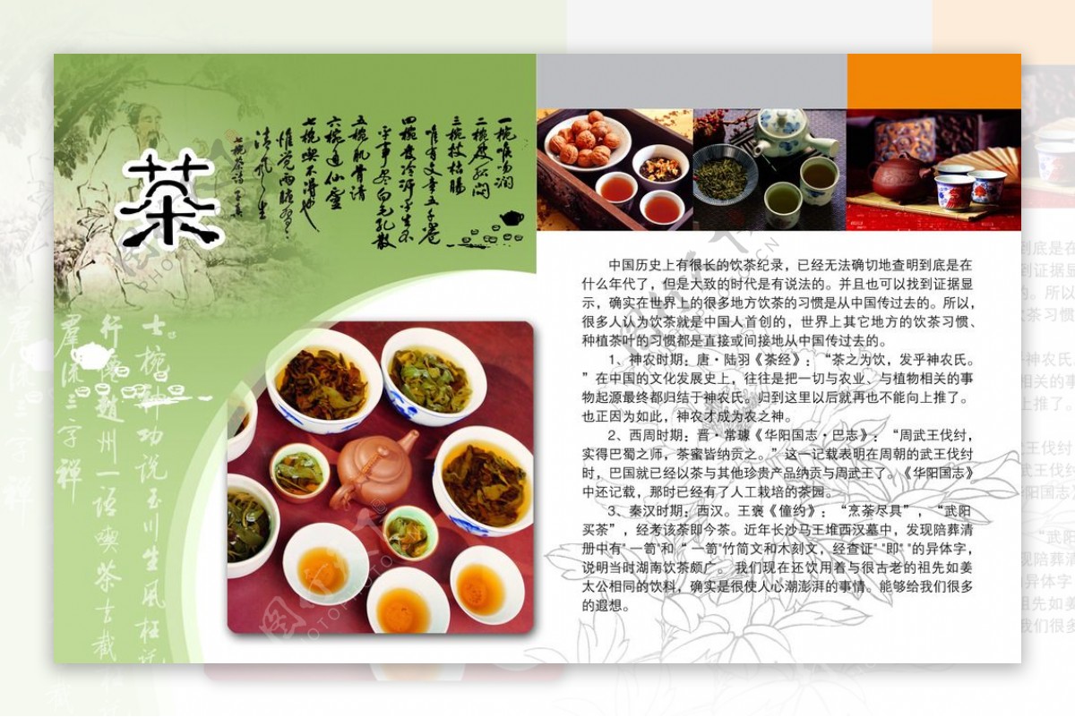 茶文化单页宣传单