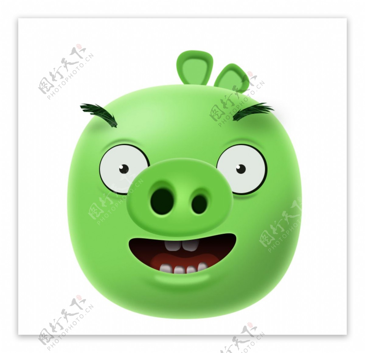 绿皮猪