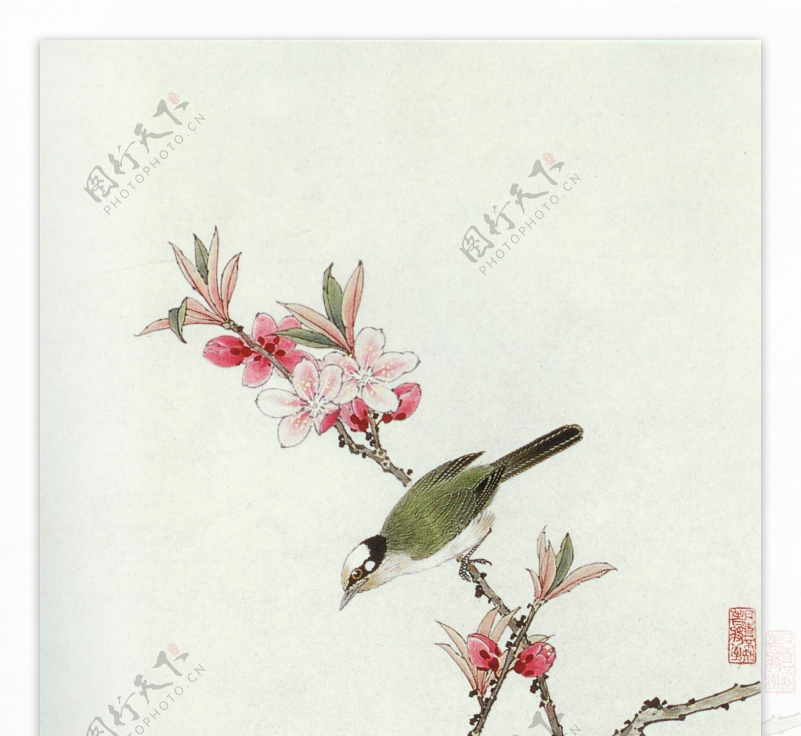 高清中式工笔花鸟