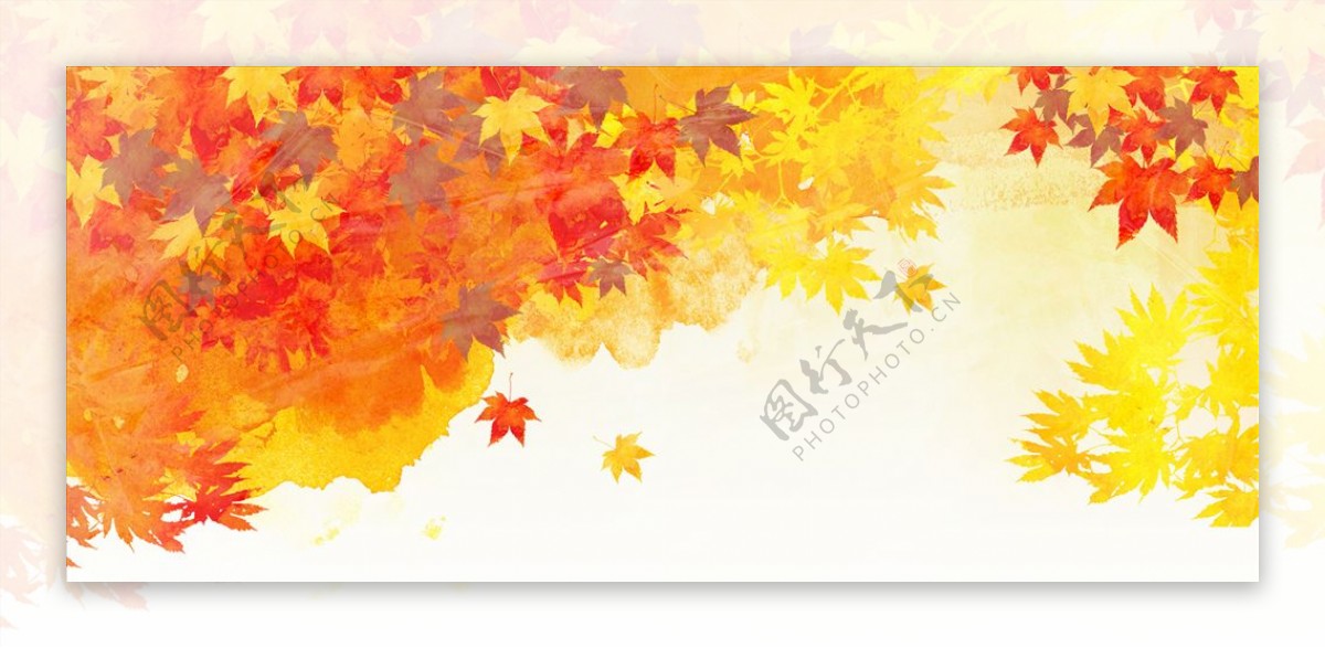 秋天枫叶背景设计