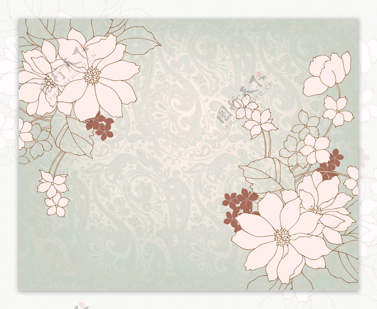 花卉壁纸