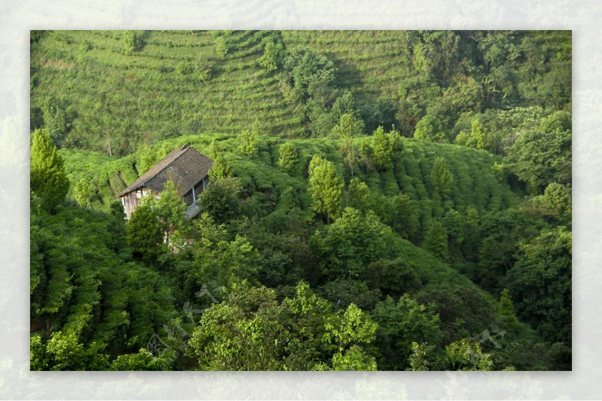 茶山金字塔景区