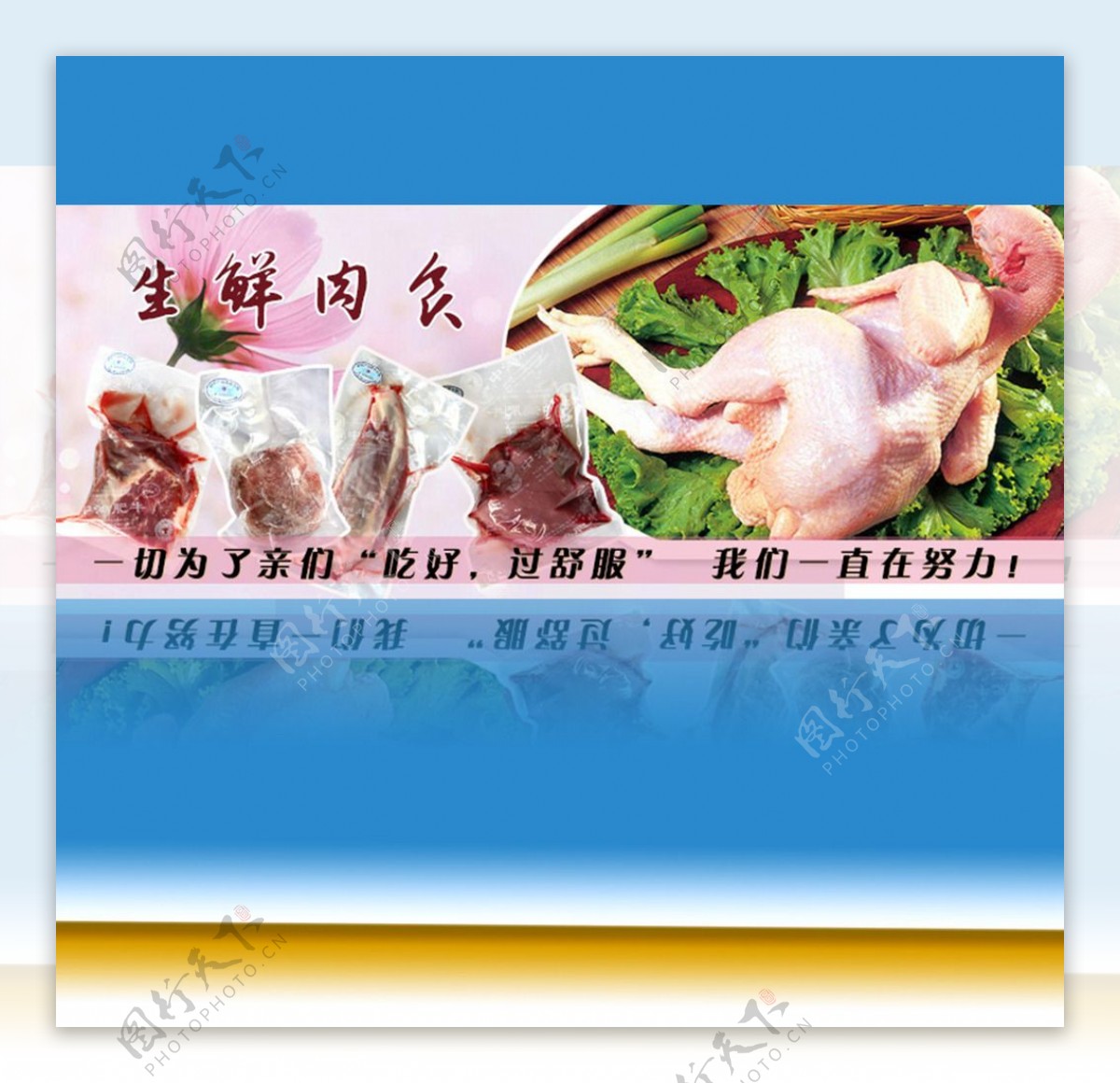 肉食海报