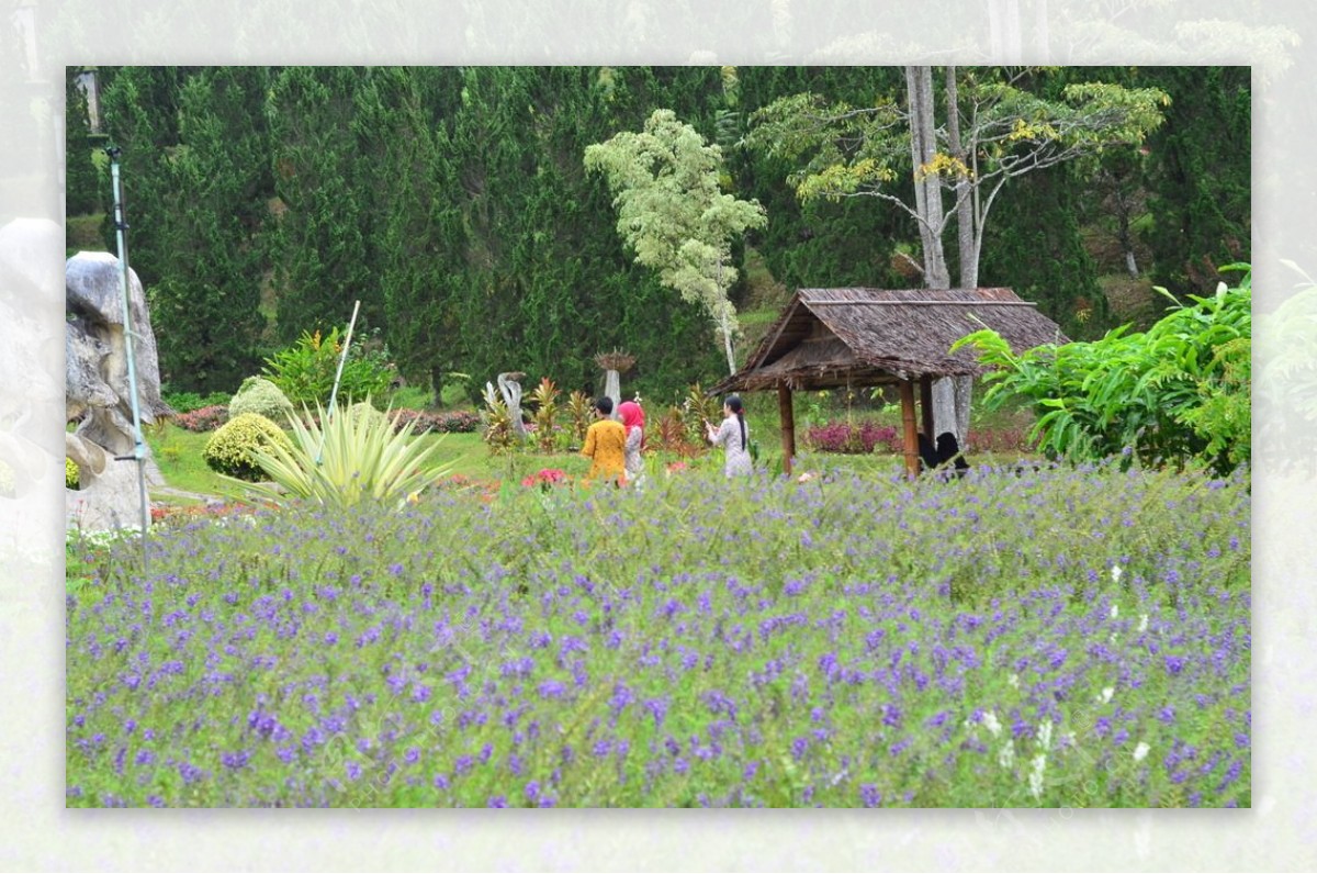 泰国万花园