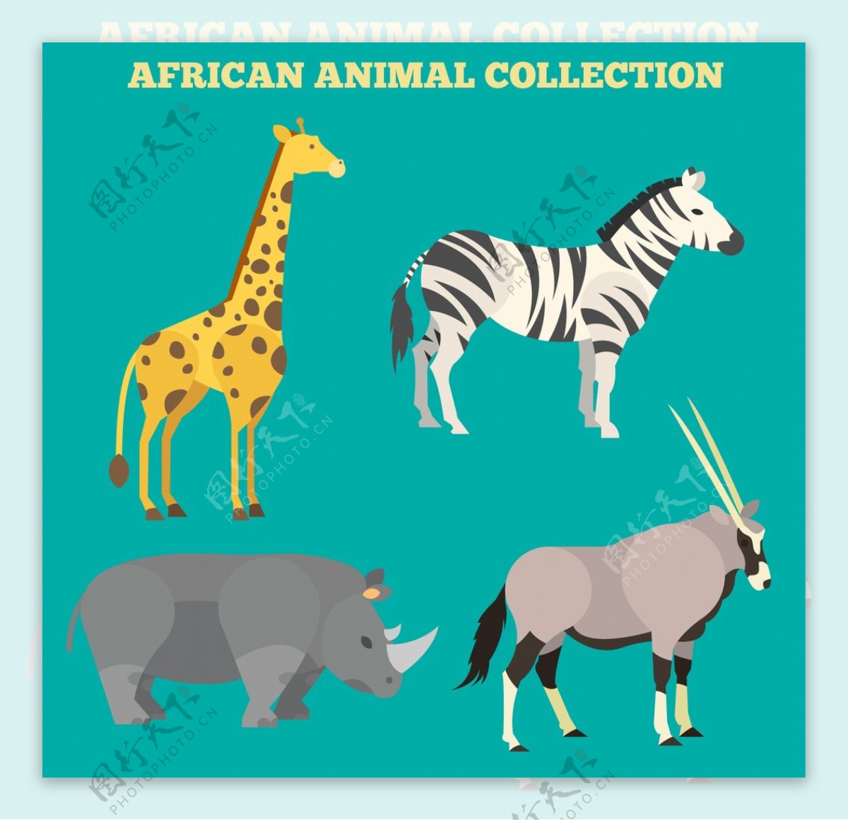 可爱的非洲动物
