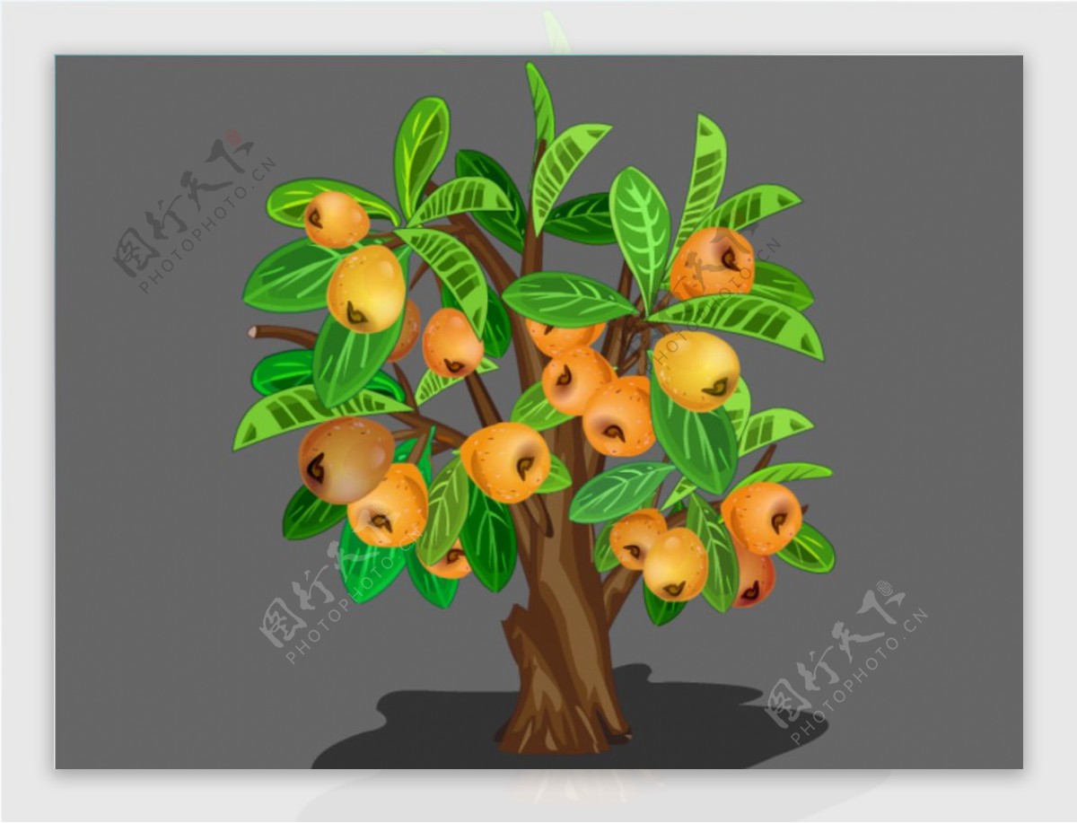 长满果实的琵琶树flash动画