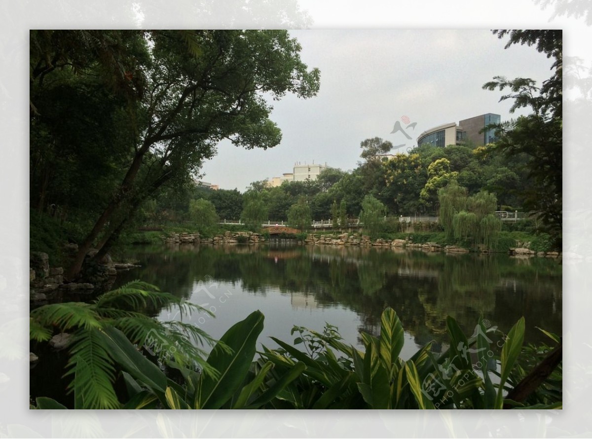 西南大学崇德湖风景