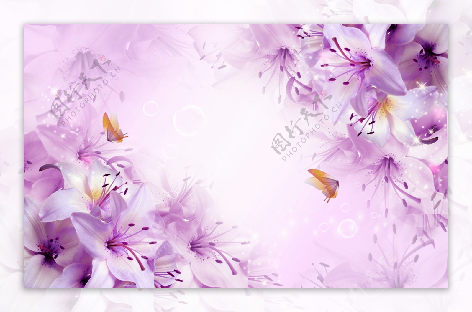 紫色百合花背景墙
