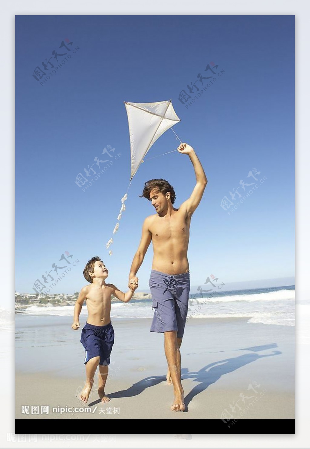 海边放风筝的父子俩