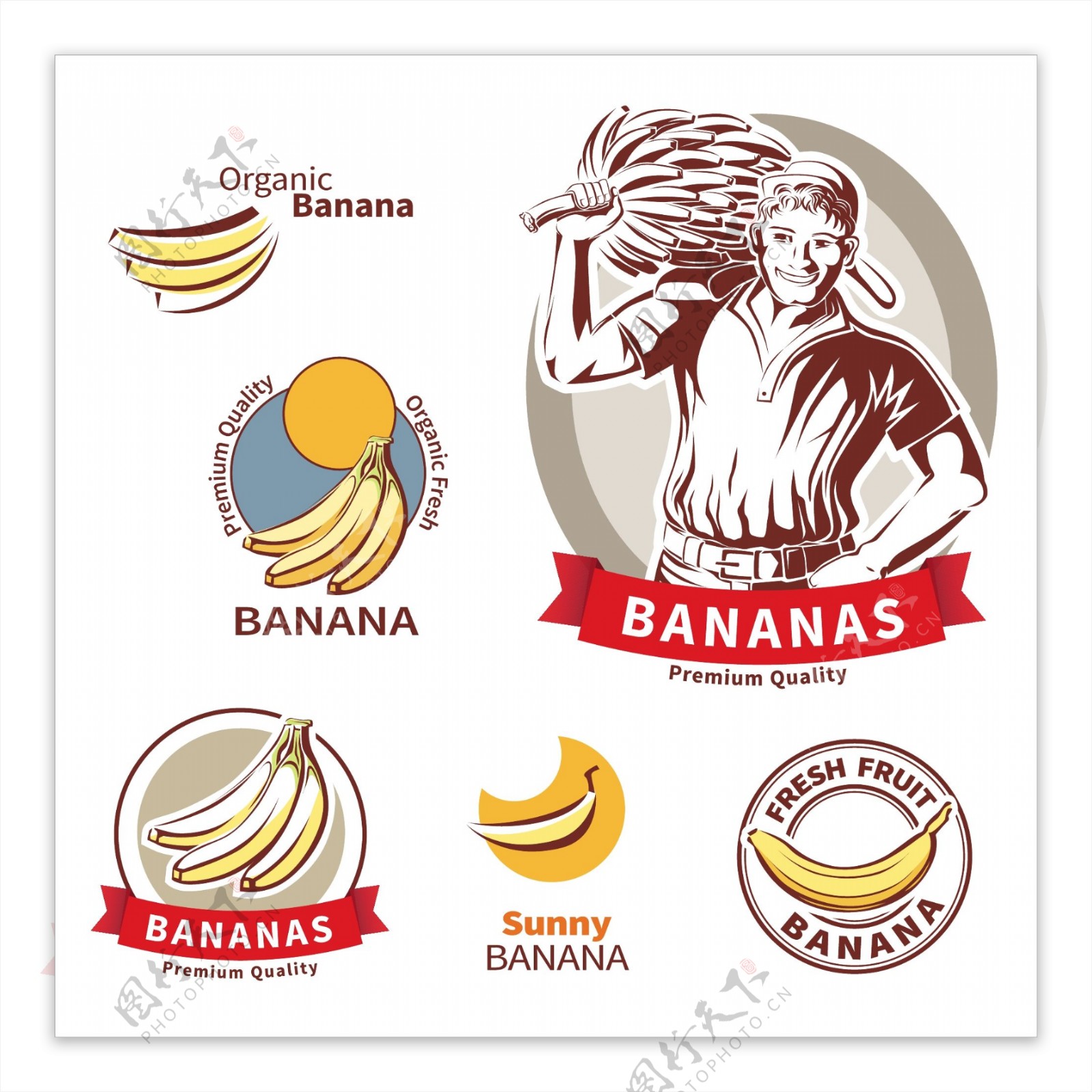 优质香蕉标签矢量素材