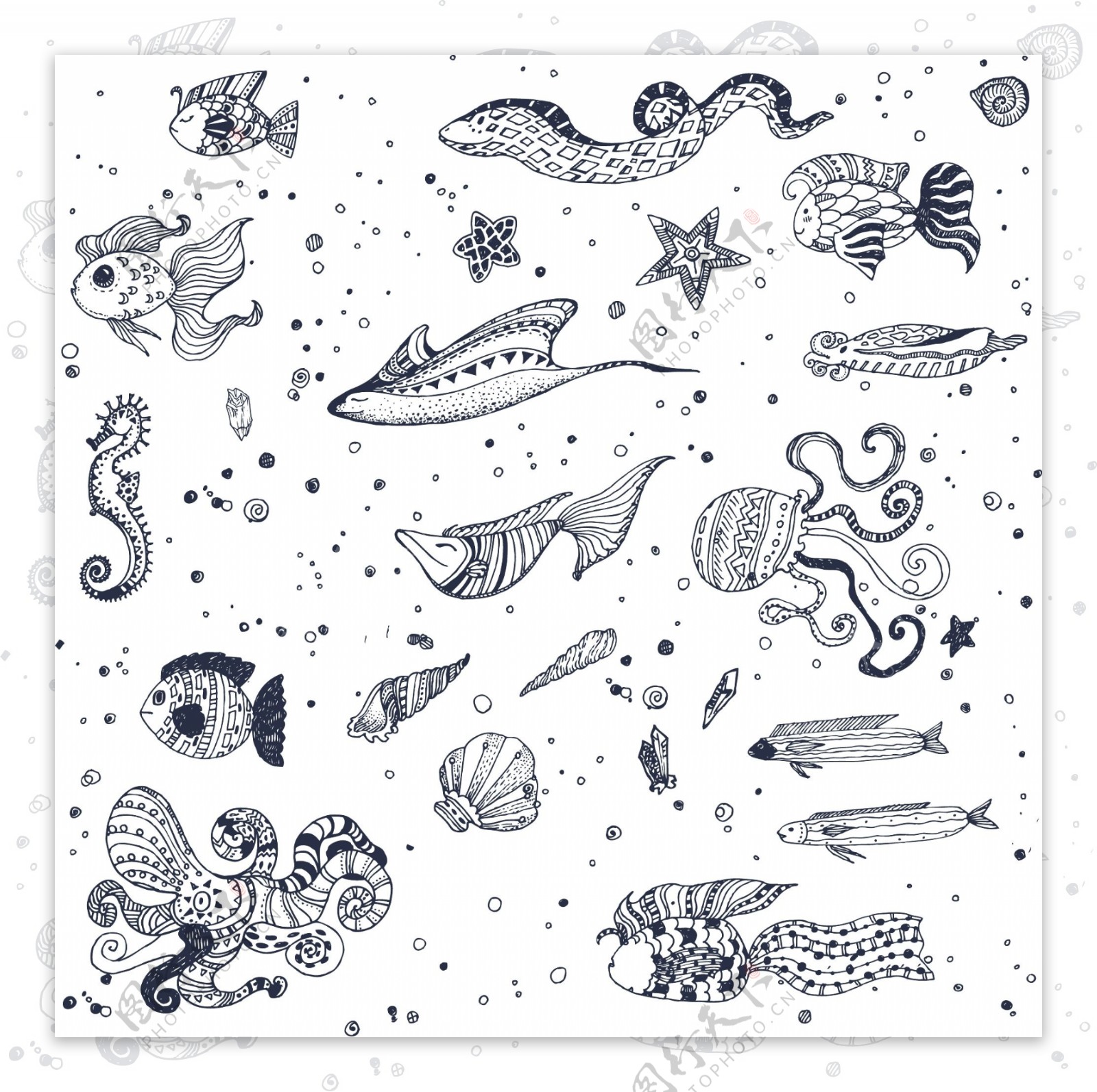 海洋动物图案