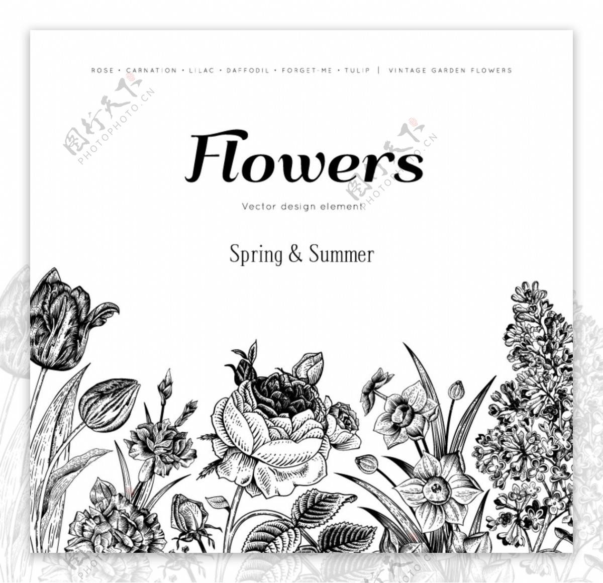 黑色手绘花卉背景矢量图