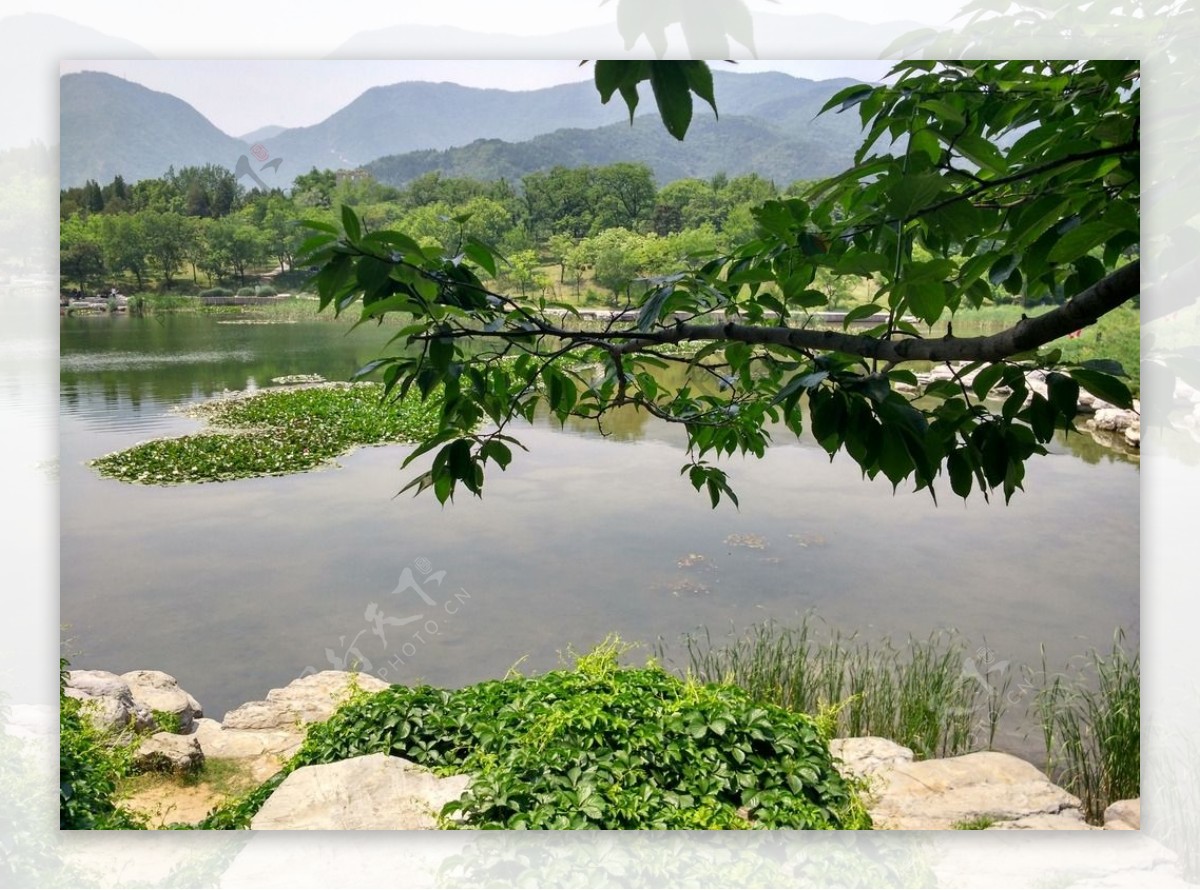 北京香山植物园河边美图