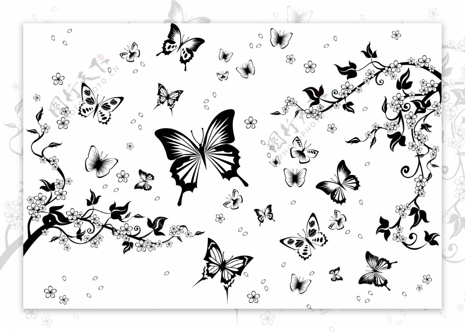 黑白蝴蝶矢量图