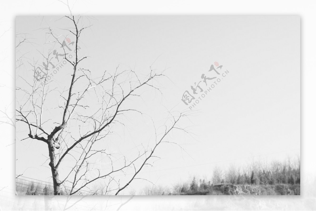 黑白照片