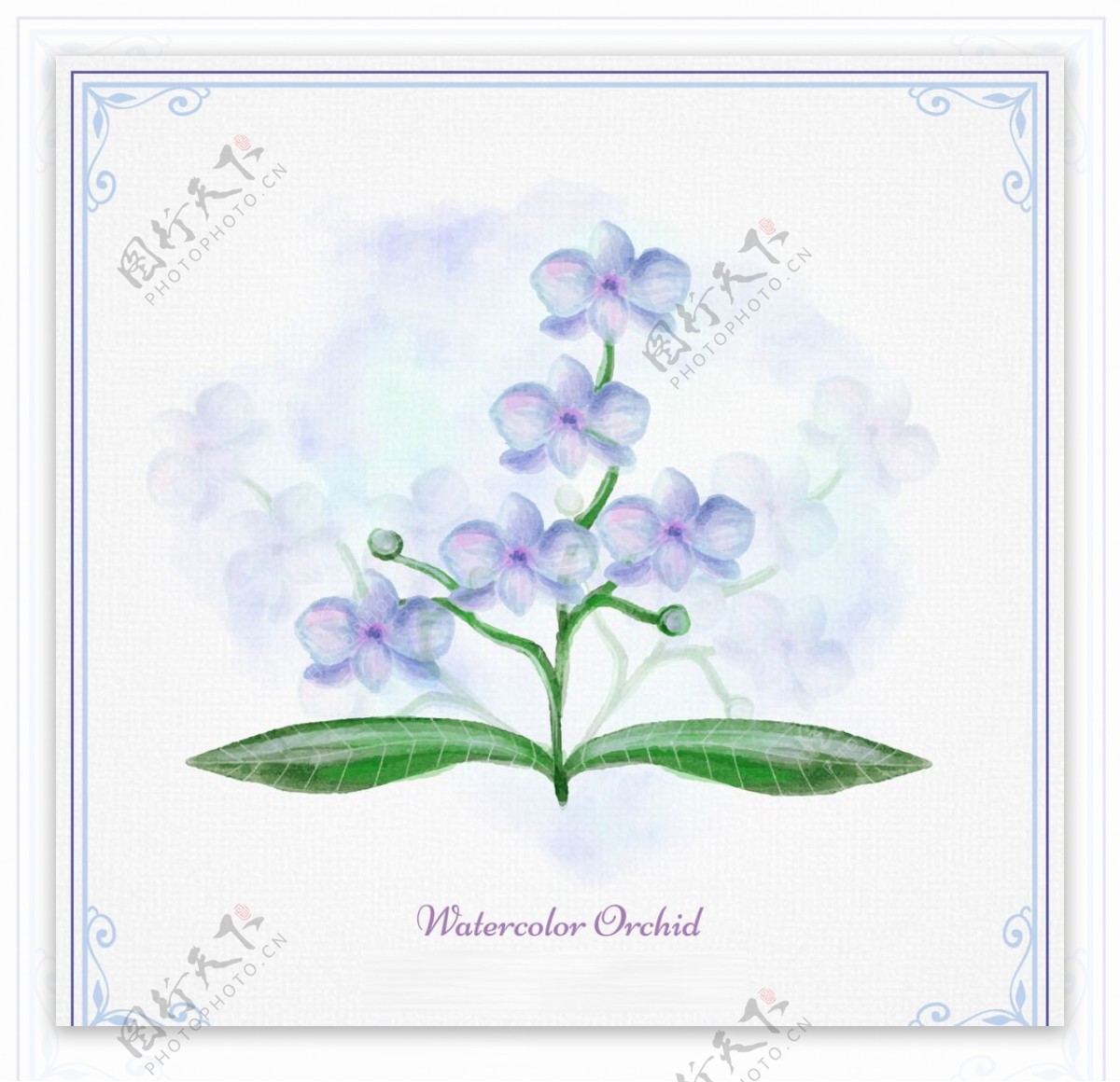 蓝色水彩兰花