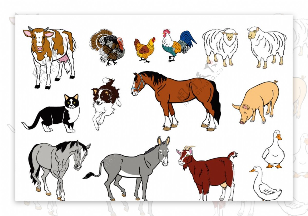 卡通农场动物设计矢量素材